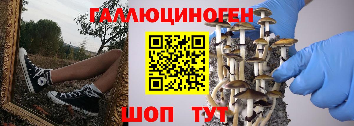 Галлюциногенные грибы Psilocybine cubensis  Вход с VPN  Галлюциногенные грибы MAGIC MUSHROOMS  Усолье-Сибирское 